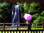 馬場.gif