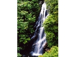 土山.gif