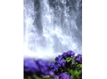 SCAN0218_001.gif