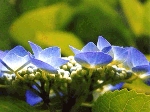 SCAN0221_001.gif