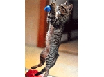 SCAN0222_001.gif