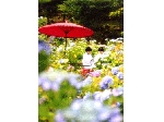 SCAN0223_001.gif