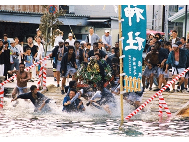 勝浦例祭.gif