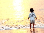 福池.gif