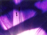 土山.gif