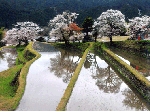 栗山.gif