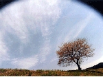 土山.gif
