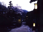 前田.gif