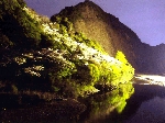 山本.gif