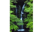 栗山.gif