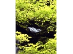 西村.gif