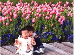 阪本初美.gif