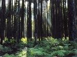 土山.jpg