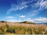 栗山.jpg