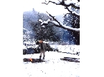 山田.jpg