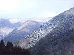 岸.jpg