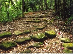 SCAN0692_001.jpg