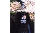 田戸.jpg