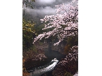 山田.jpg