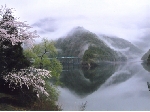 栗山.jpg
