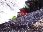 宇井.jpg