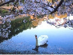 馬場.jpg